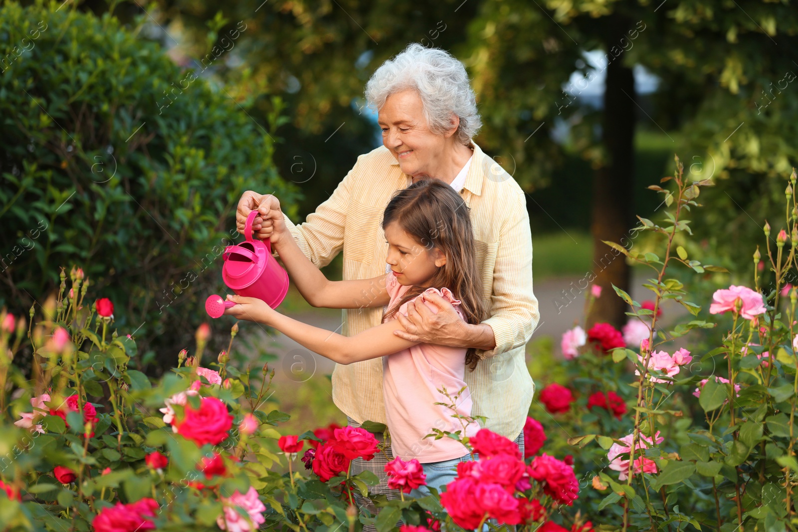 Photo of Little girl and her grandmother watering flowers in garden