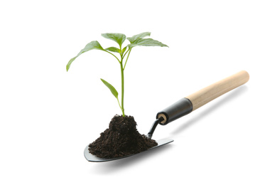Photo of Gardening trowel with soil and green pepper seedling isolated on white