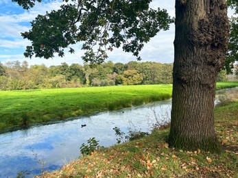 Beautiful water channel, green grass and trees in park