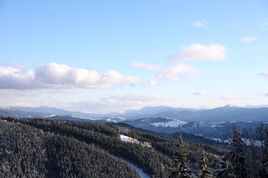 Photo of Beautiful mountain landscape with forest on sunny day in winter