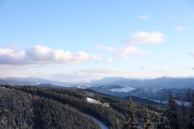 Beautiful mountain landscape with forest on sunny day in winter