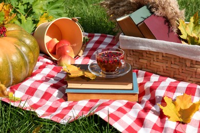 Books, cup of tea and pumpkin on plaid outdoors. Autumn atmosphere