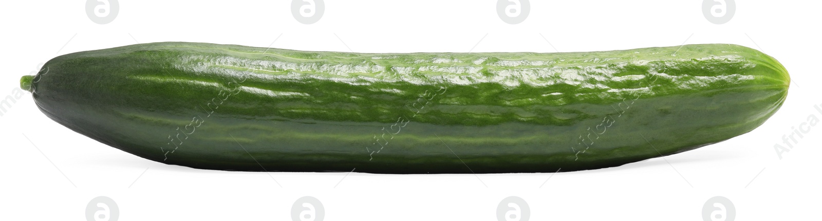 Photo of One long fresh cucumber isolated on white