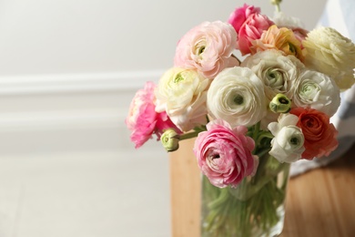 Photo of Beautiful ranunculus flowers in vase on table indoors, closeup. Space for text