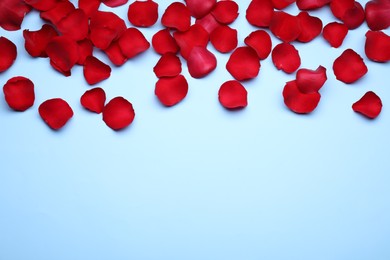 Beautiful red rose flower petals on light blue background, flat lay. Space for text