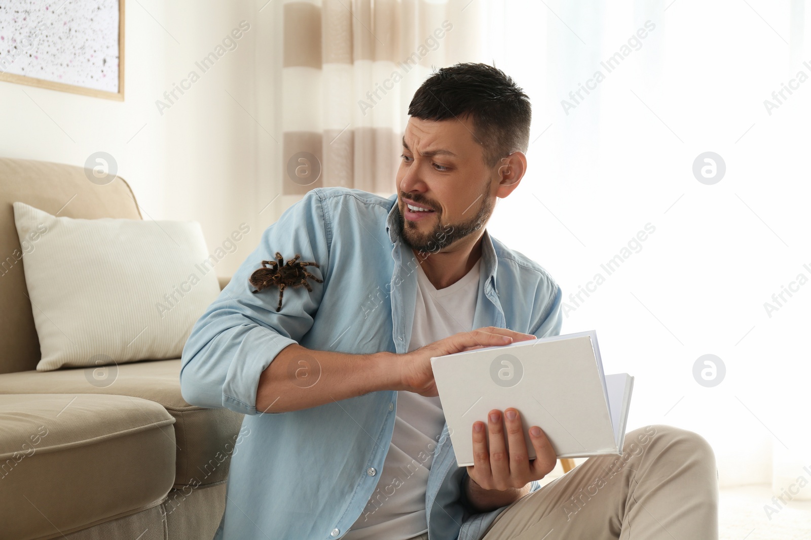 Photo of Scared man with tarantula at home. Arachnophobia (fear of spiders)