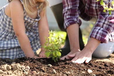 Photo of Mother and her cute daughter planting tree together in garden, closeup