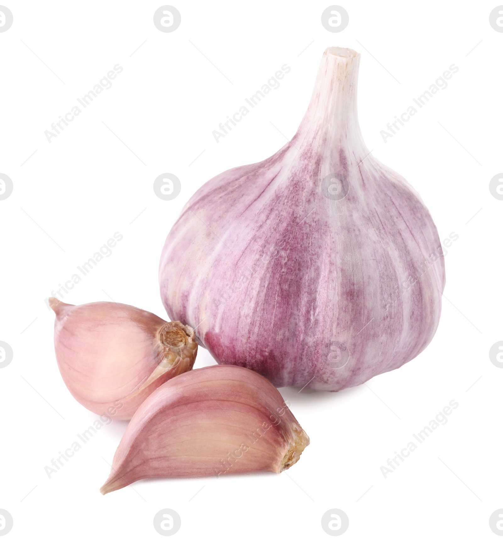 Photo of Head of fresh garlic and cloves isolated on white