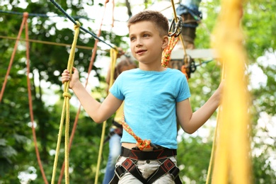 Little boy climbing in adventure park. Summer camp