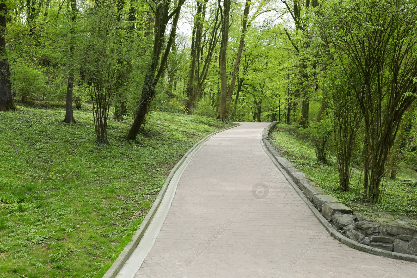 Photo of Beautiful green city park on spring day