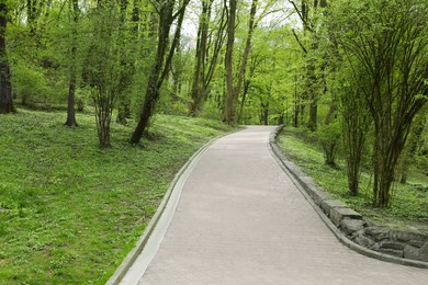 Beautiful green city park on spring day