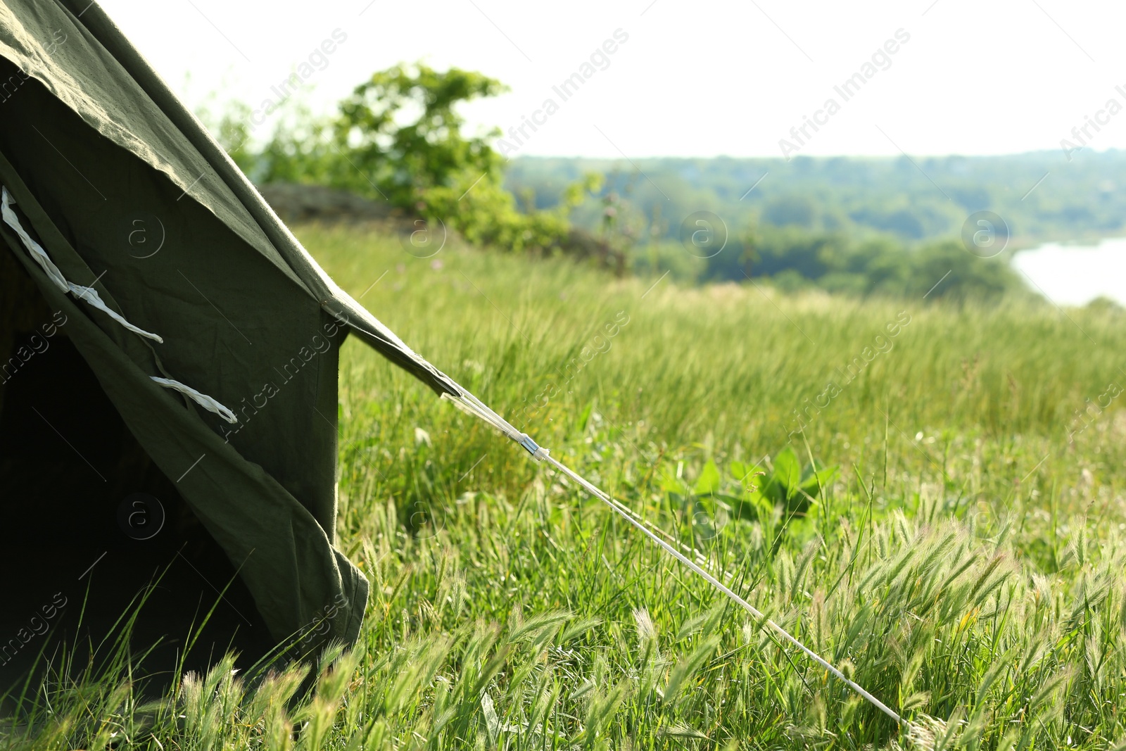 Photo of Camping tent in green field on sunny day. Space for text