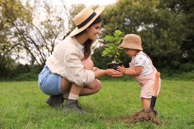 Mother and her baby daughter planting tree together in garden