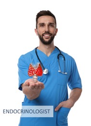 Image of Endocrinologist holding thyroid illustration on white background