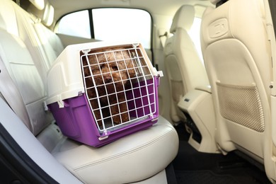 Cute dog in pet carrier travelling by car