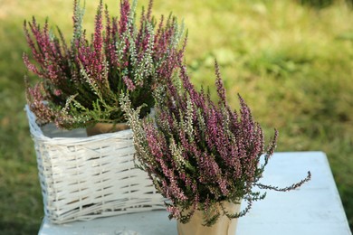 Photo of Beautiful heather flowers on white table outdoors