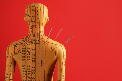 Acupuncture - alternative medicine. Human model with needles in shoulder on red background, back view. Space for text