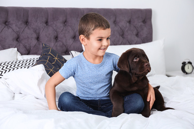 Photo of Funny puppy and little boy on bed at home. Friendly dog