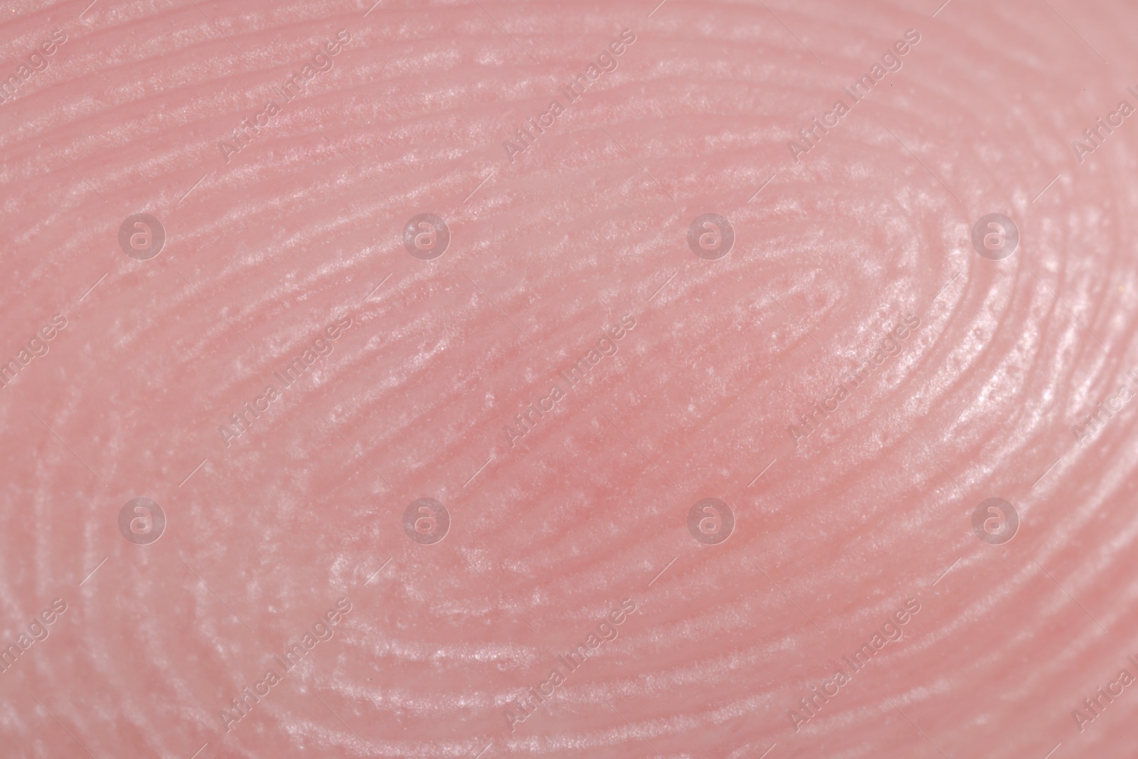 Photo of Friction ridges on finger as background, macro view