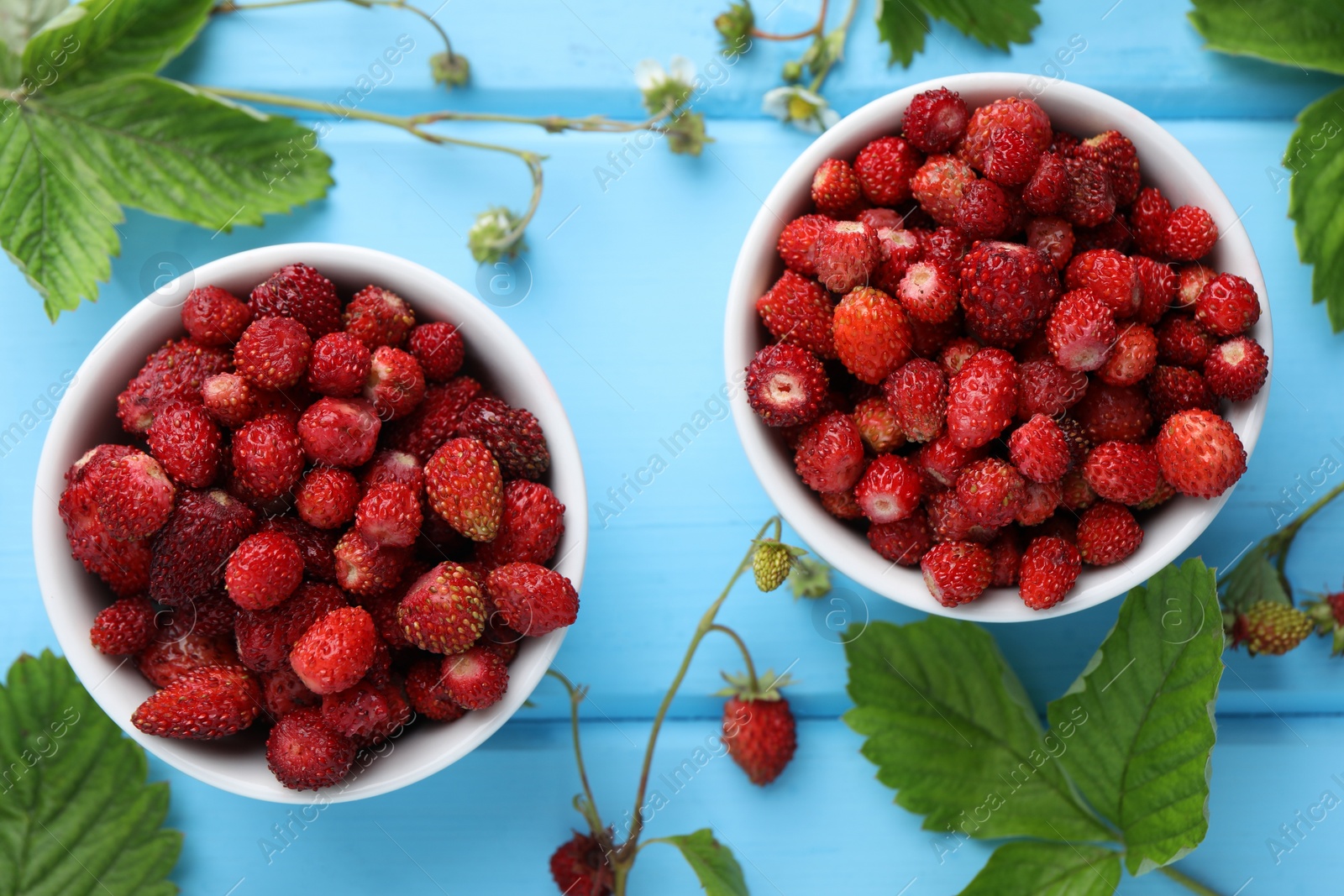 Photo of Fresh wild strawberries in bowls, flowers and leaves on light blue wooden table, flat lay