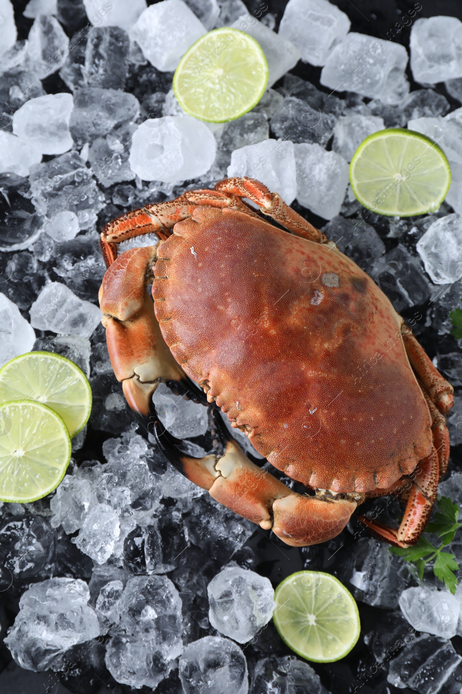 Photo of Delicious boiled crab, lime, parsley and ice on table, top view