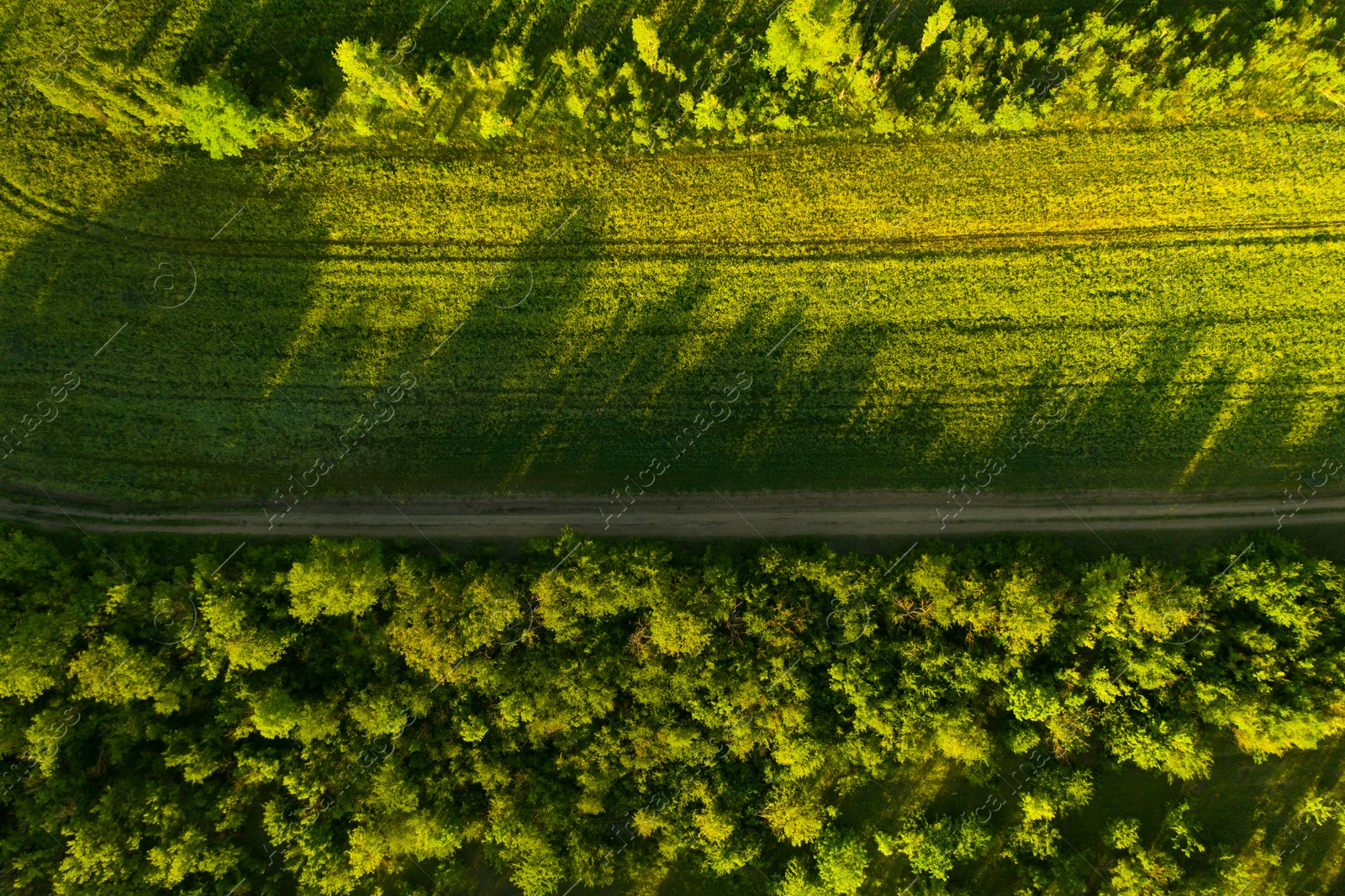 Image of Beautiful aerial view of green field and empty road