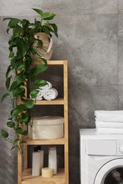 Photo of Shelving unit with rolled towels, houseplant, box and bottles indoors
