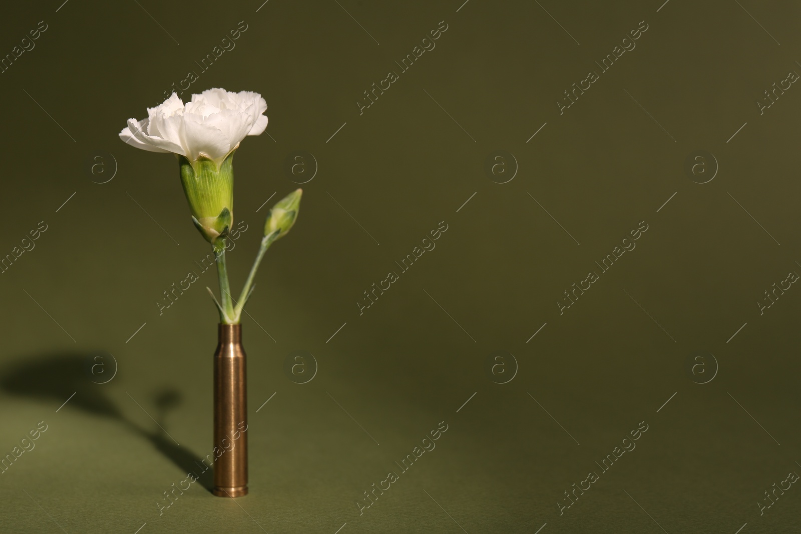 Photo of Bullet cartridge case and beautiful carnation flower on dark green background, space for text