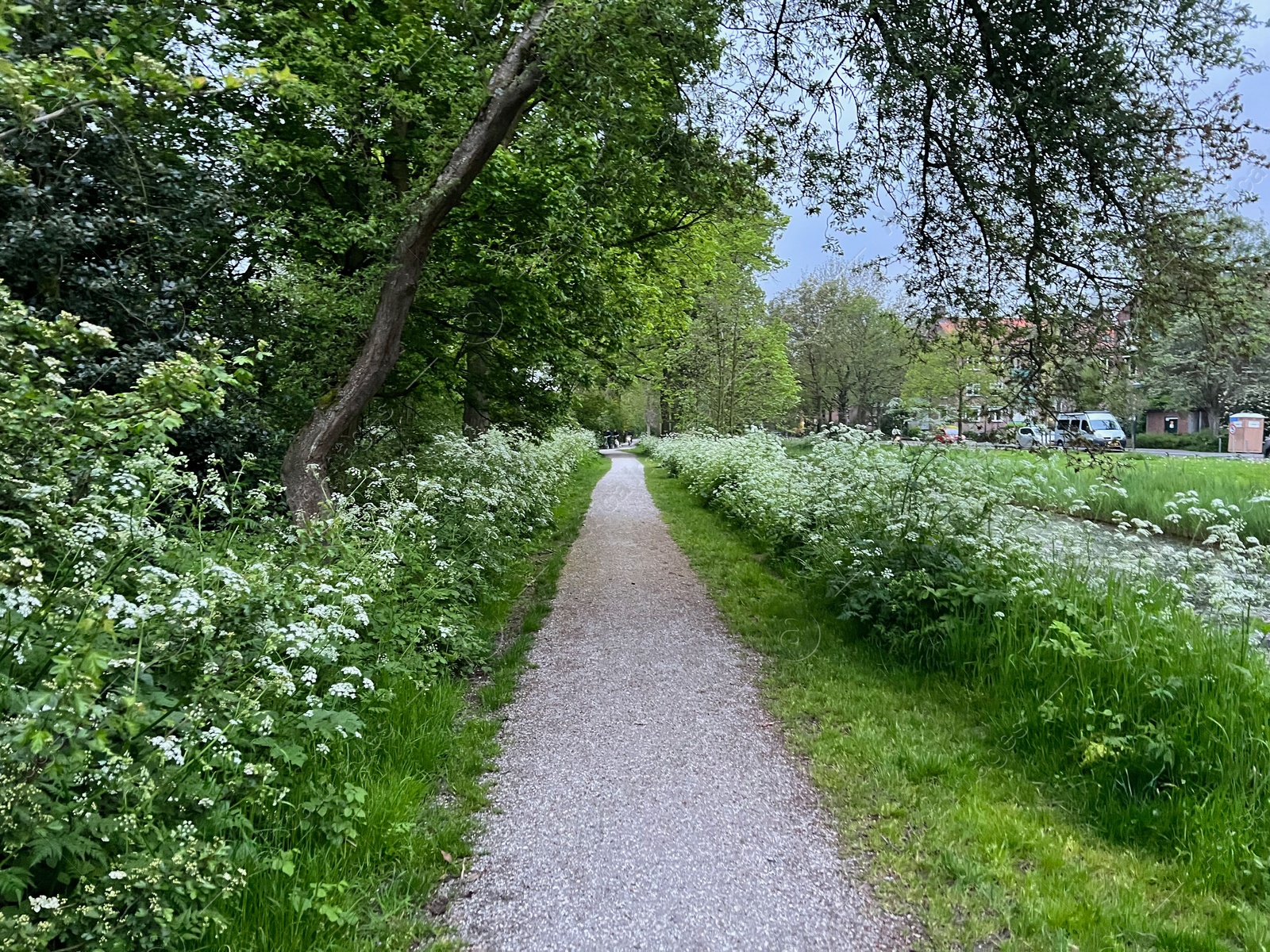 Photo of Pathway and plants near canal outdoors on spring day