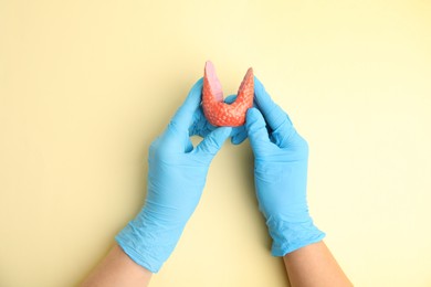 Photo of Doctor holding plastic model of healthy thyroid on beige background, top view