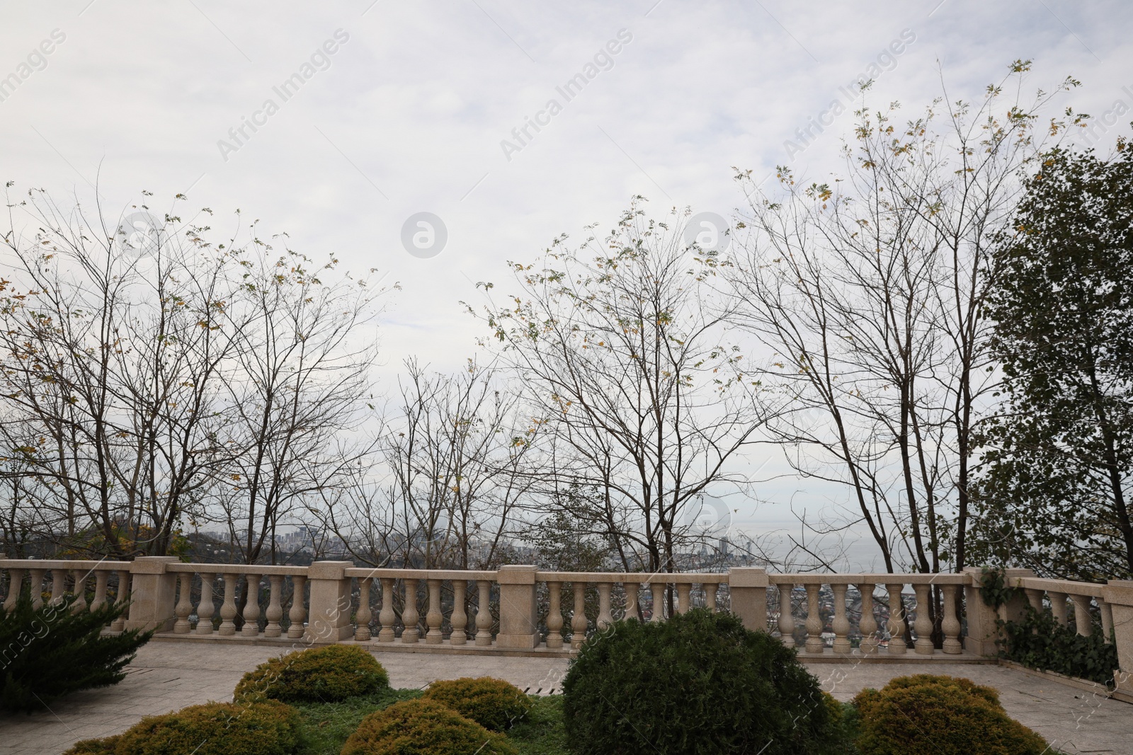 Photo of Beautiful viewpoint with green plants and balustrade