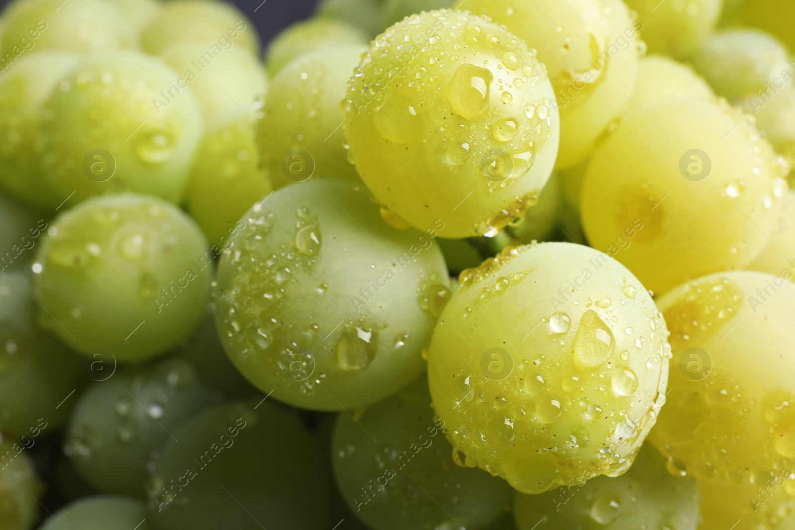 Photo of Bunch of green fresh ripe juicy grapes as background. Closeup view