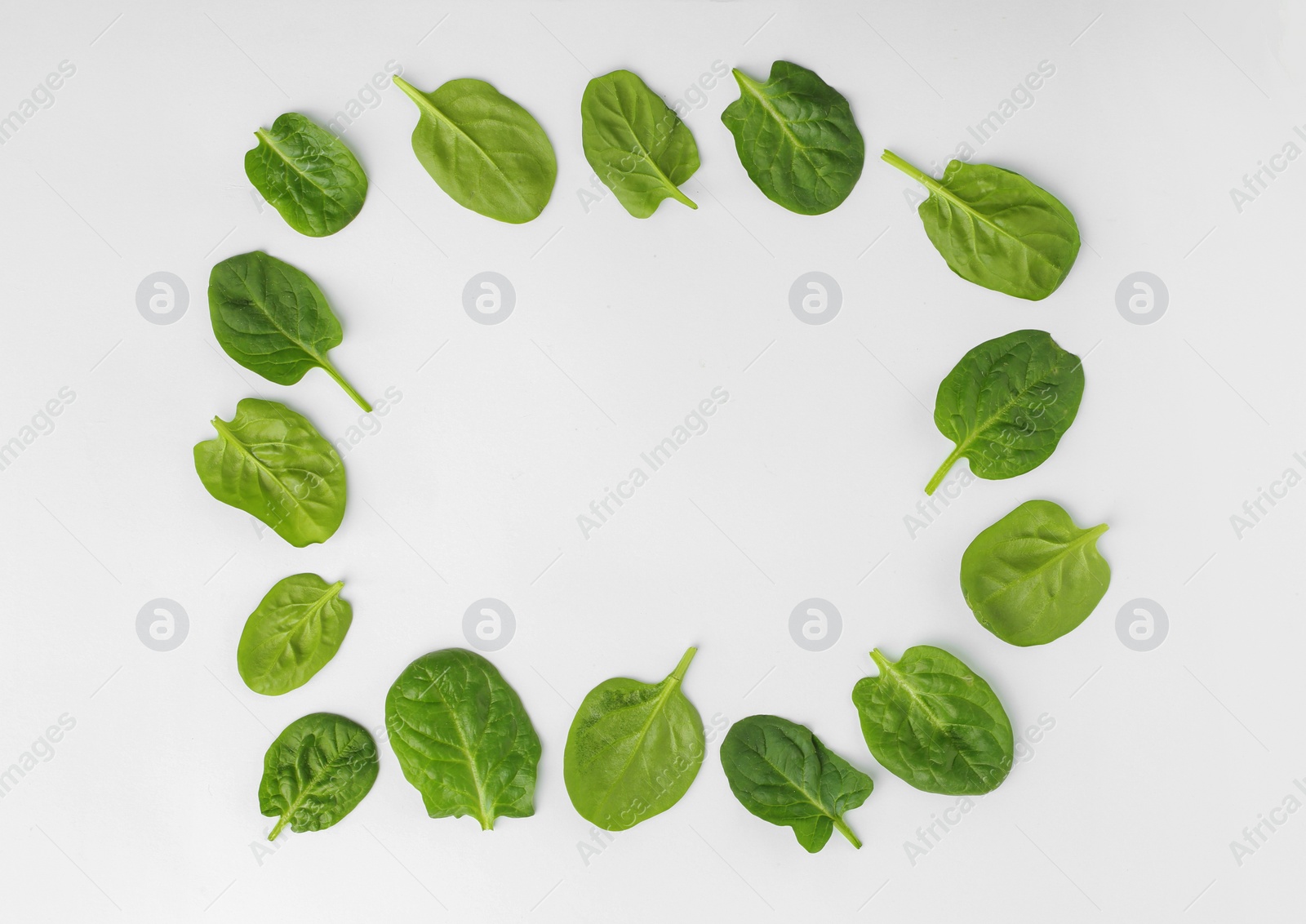 Photo of Frame made of spinach leaves on white background, top view. Space for text