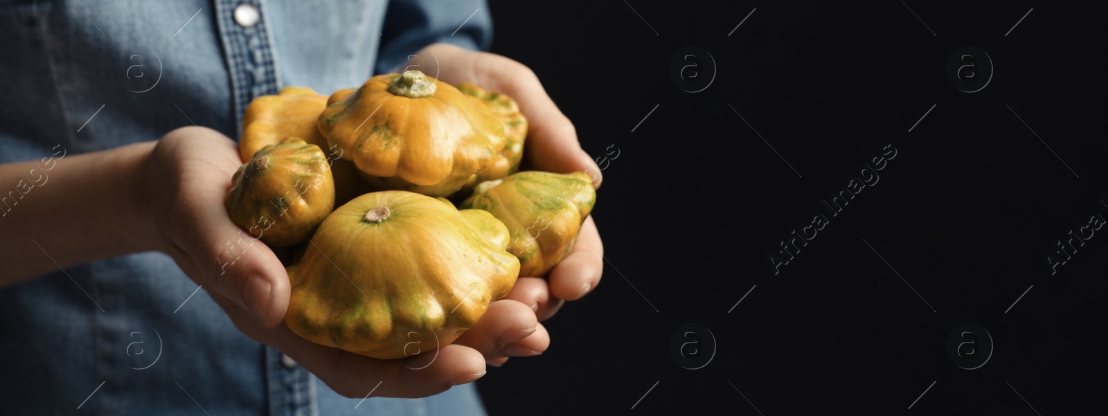 Image of Woman with fresh pattypan squashes on black background, closeup with space for text. Banner design