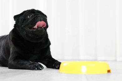 Photo of Cute Pug dog eating from plastic bowl in room, space for text