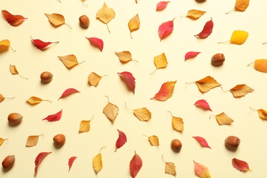 Photo of Flat lay composition with autumn leaves on color background