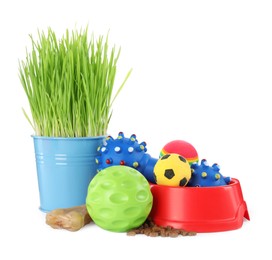 Photo of Various pet toys, bowl of food and wheatgrass on white background