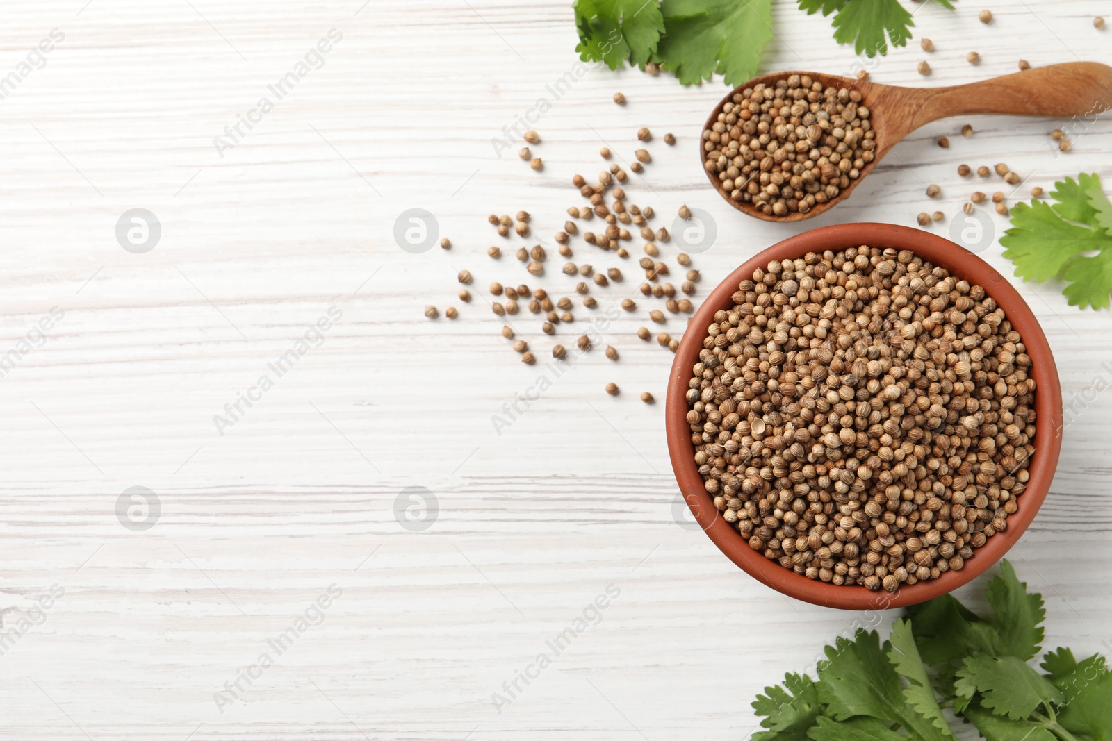 Photo of Dried coriander seeds in bowl, spoon and green leaves on wooden table, flat lay. Space for text