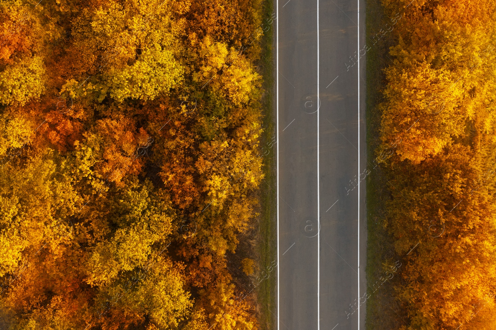 Image of Beautiful aerial view of autumn forest crossed by asphalt road