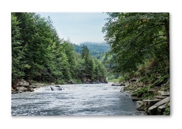 Photo printed on canvas, white background. Wild mountain river flowing along rocky banks in forest