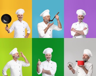 Collage with photos of professional chef on different color backgrounds