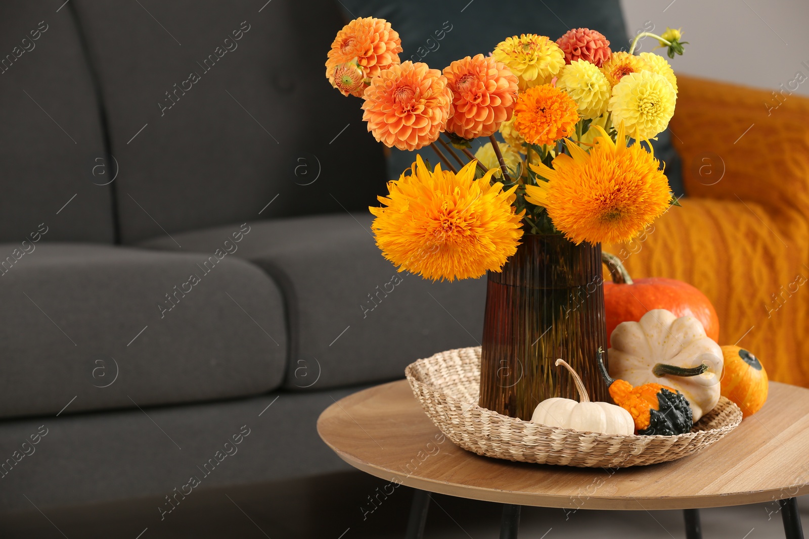 Photo of Beautiful autumn bouquet and pumpkins on coffee table near sofa in room