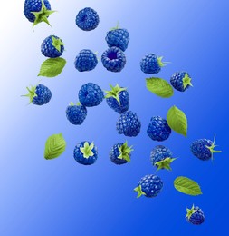 Image of Many fresh blue raspberries and green leaves falling on blue background