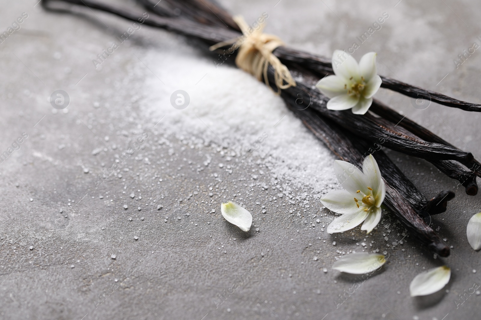 Photo of Vanilla pods, sugar, flowers and petals on gray textured table, closeup. Space for text
