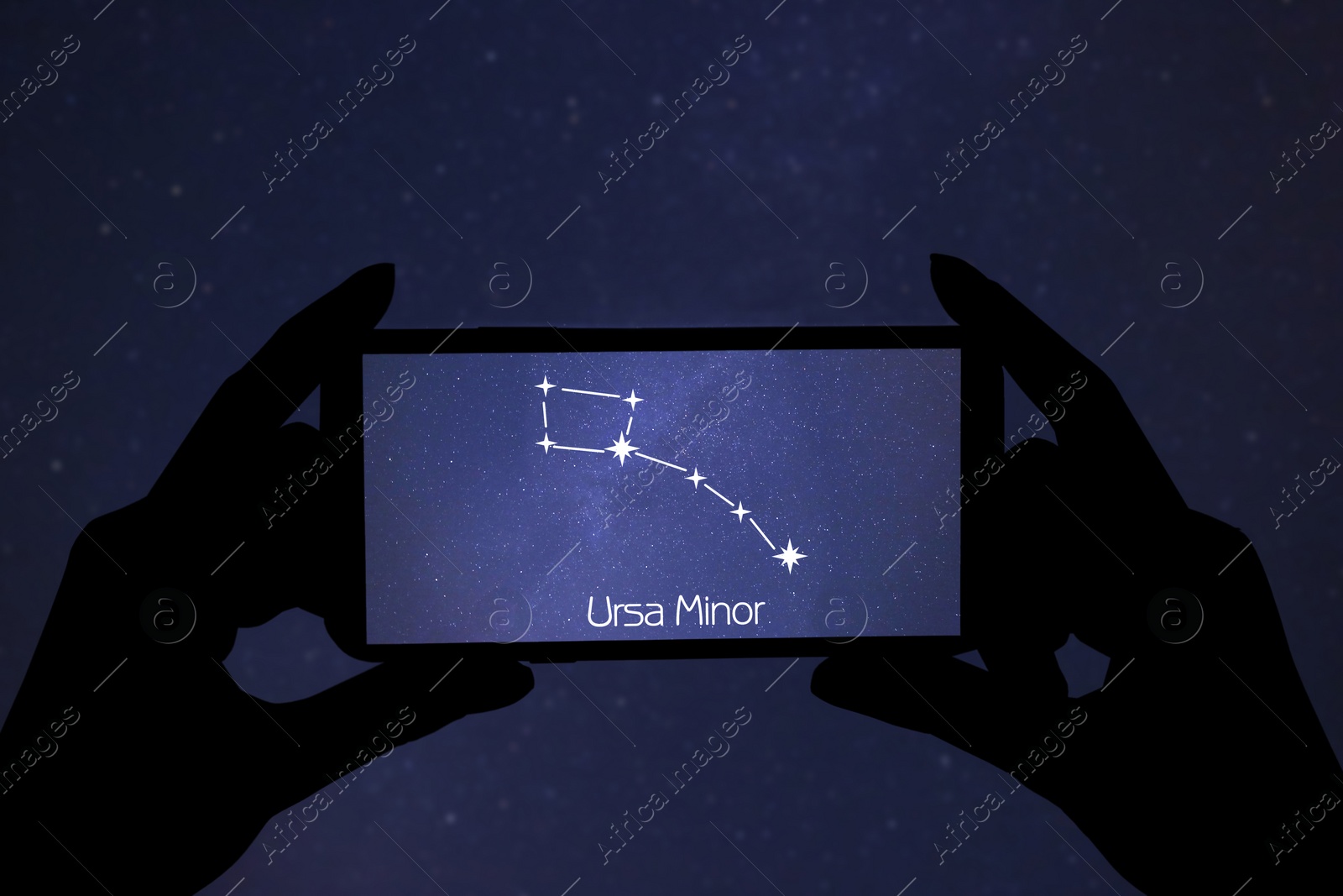 Image of Woman using stargazing app on her phone at night, closeup. Identified stick figure pattern of Little Bear (Ursa Minor) constellation on device screen
