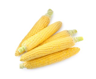 Photo of Tasty fresh corn cobs isolated on white, top view