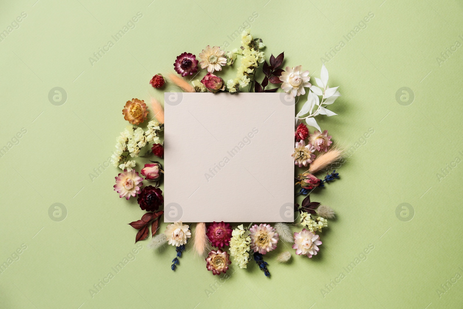 Photo of Flat lay composition with dried flowers and blank card on green background. Space for text