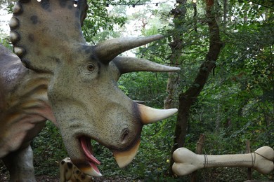 Photo of Amersfoort, the Netherlands - August 20, 2022: Triceratops in DierenPark outdoors, closeup