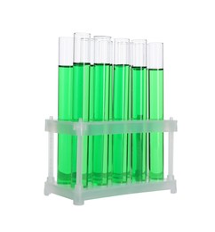 Photo of Many test tubes with green liquid in stand isolated on white