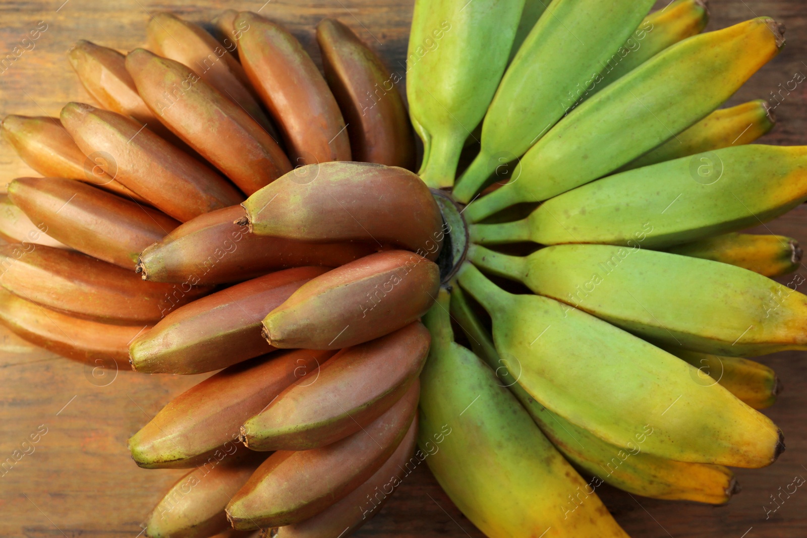 Photo of Different sorts of bananas on wooden table, top view